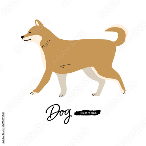 犬のイラスト_柴犬
