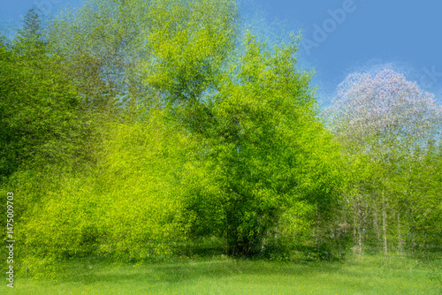 ICM variation of green colour trees and the green grass in the park