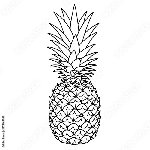 Outlined pineapple with pointed green leaves and textured, cross-hatched fruit