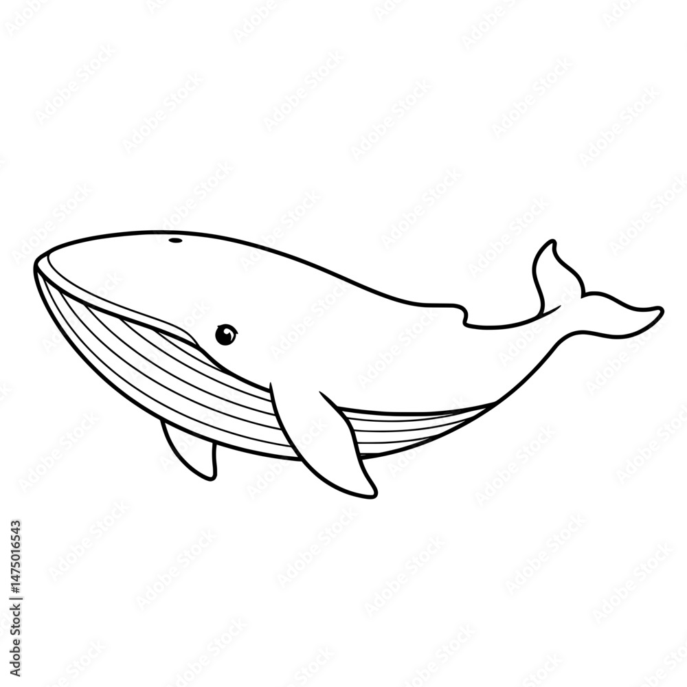 Obraz premium Whale drawing