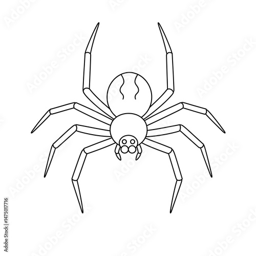Spider outline. Eight legs. Black lines. Two body parts. Pair of chelicerae. Striped back