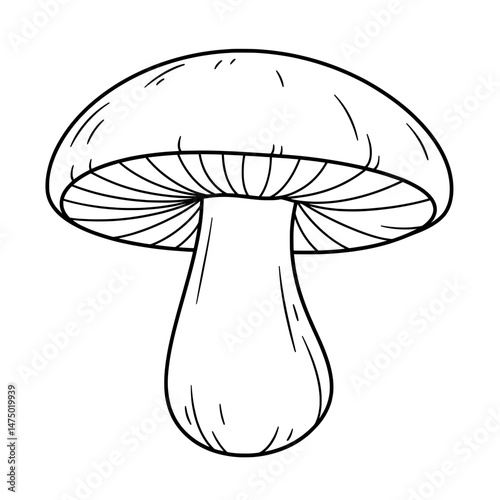 Mushroom drawing with a large cap and gills under, bold black outlines on white