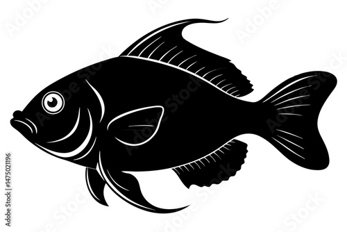 oscar fish sihouette black vector