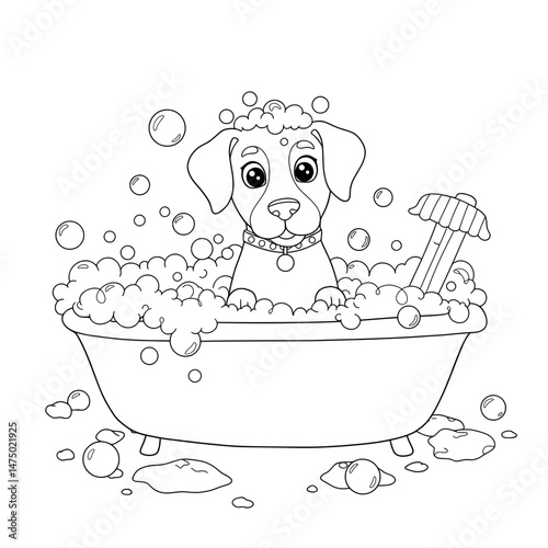 Dog's Bath Time
