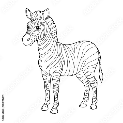 A zebra illustration
