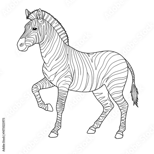 Stripped Illustration A zebra stands with its unique pattern against a white background