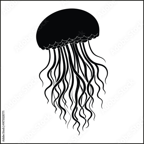jellyfish vector illustration