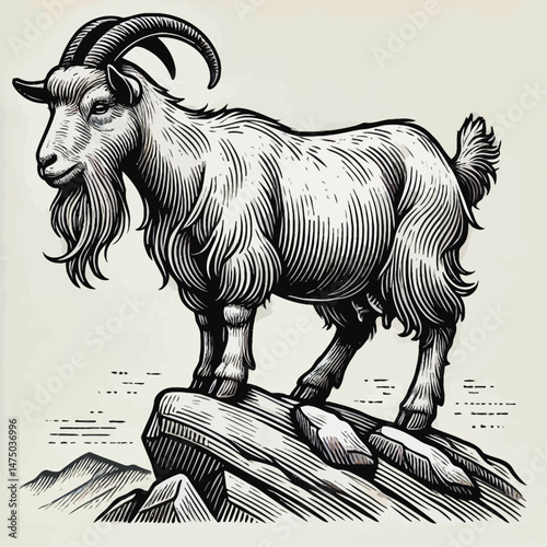 Goat