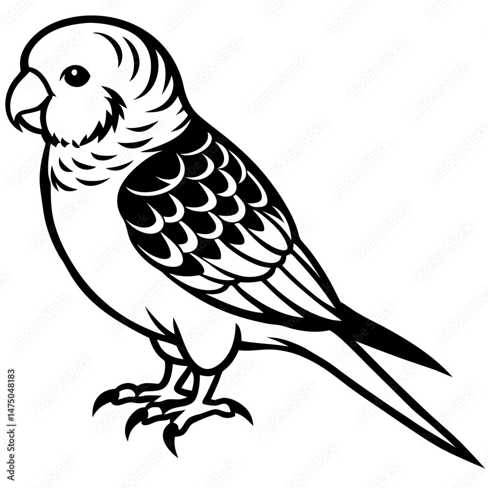 Fototapeta premium black and white parrot