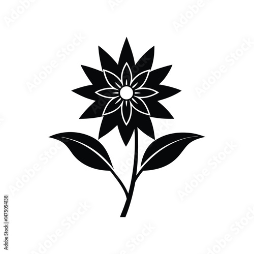 A pristine Edelweiss flower silhouette vector