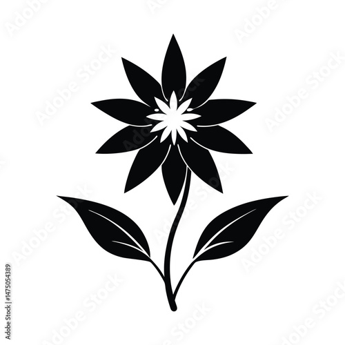 Edelweiss Flower Silhouette Vector - Alpine Floral Symbol for Mountain Logo, Wedding Heraldry Design