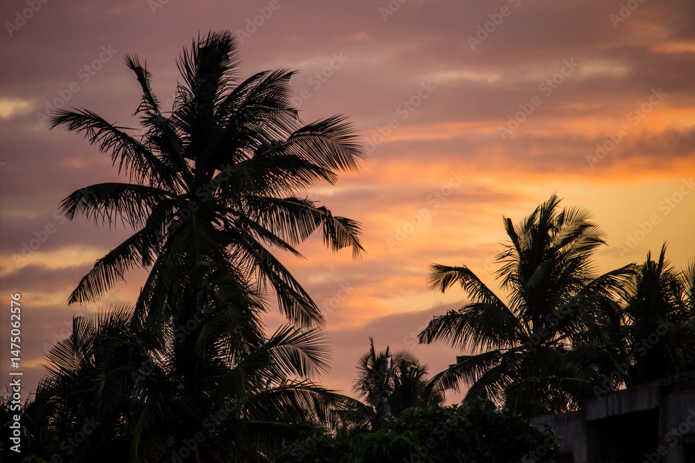 Obraz premium The silhouettes of palm trees against a dramatic pink and golden sunset in the city of Maxixe, Mozambique,