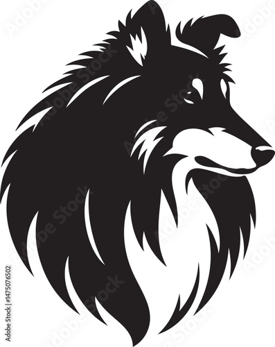 Collie dog 