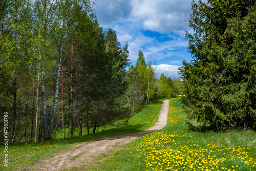 Rural road in Vasargelišķi, Latgale region, Latvia. Sunny day in coutryside