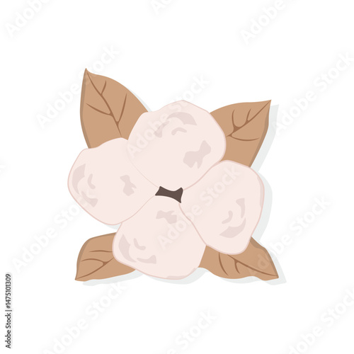 Cotton Icon Vector Design.