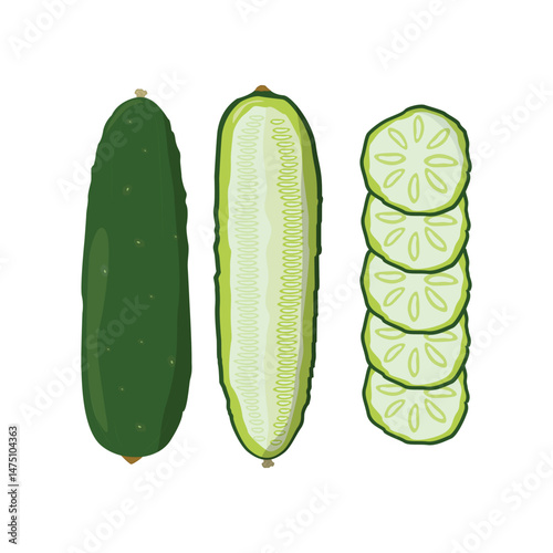 Cucumber Icon Set Vector Design.