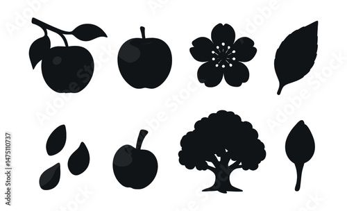 Apple lifecycle silhouette icons set – growth, harvest, orchard symbols