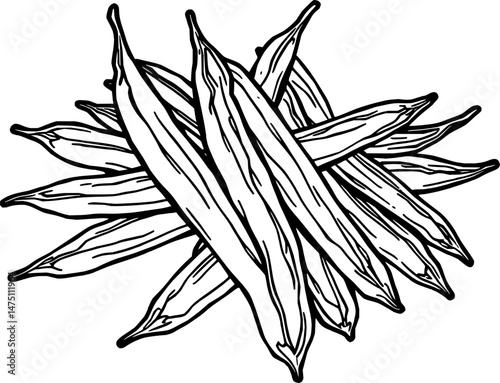 Fresh Green Beans A Hand-Drawn Illustration of A Pile of Long Slender Beans