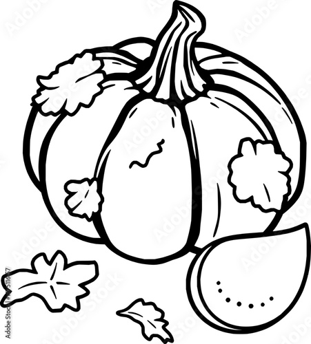Autumn Pumpkin Illustration A Hand-Drawn Vegetable Design