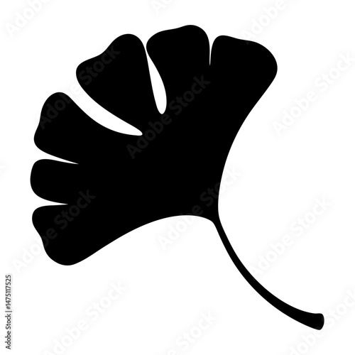 Elegant ginkgo leaf silhouette against a pristine white backdrop offers stark contrast