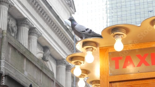 New York City, American Grand Central Terminal railway station building, 42 street. Manhattan Midtown. Yellow taxi kiosk, telephone call box with bulb lights on Pershing Square, NYC, USA. Pigeon bird.