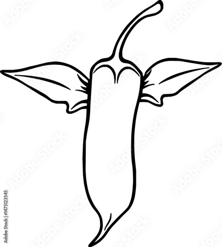 Line Art Drawing Of A Single Chili Pepper With Leaves