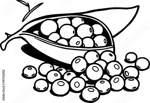 Fresh Green Peas Spilled From Open Pod Isolated