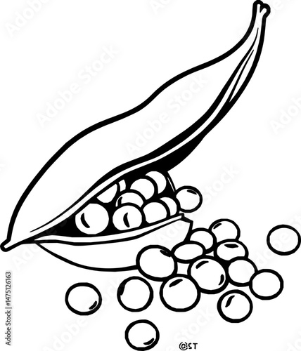 Fresh Green Peas Spilling From Open Pod Illustration