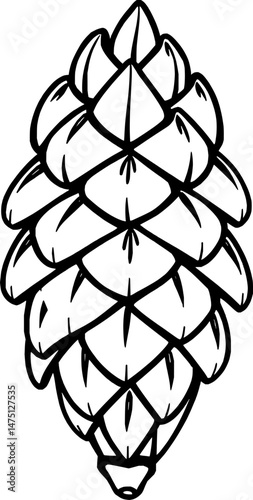 Detailed Line Drawing Of A Single Pine Cone