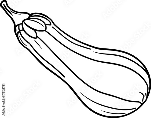 Line Drawing Of A Single Ripe Zucchini Vegetable
