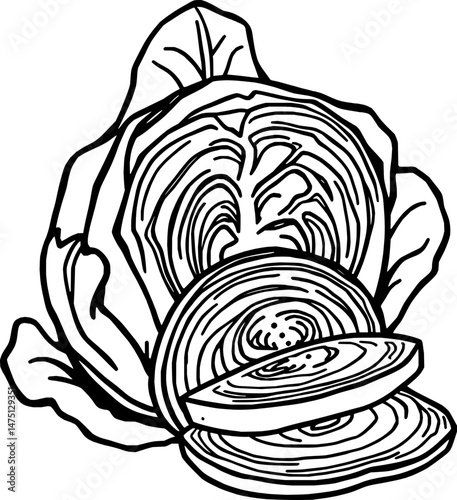 Fresh Green Cabbage Whole Head And Sliced Pieces