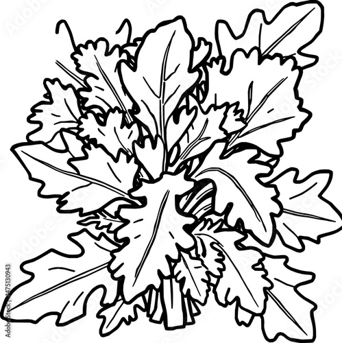 Fresh Green Leafy Vegetables Bunch Illustration