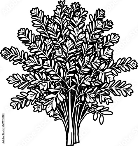 Detailed Illustration Of A Lush Bunch Of Green Herbs