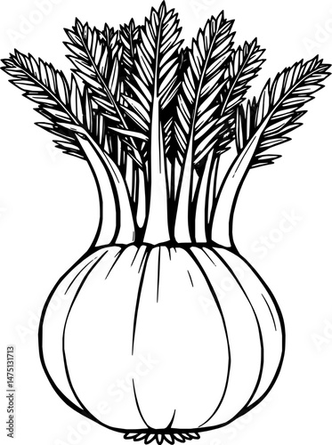 Fresh Fennel Bulb with Vibrant Green Fronds Illustration