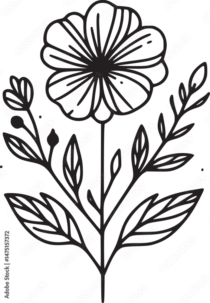 Line drawing of various flowers vector, clipart, transparent, png, element Line drawing of various flowers vector, clipart, transparent, png, element