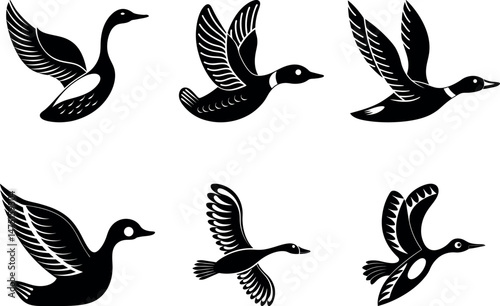 Flying Ducks: Silhouette of ducks in full flight against a background, showcasing their grace and motion, evoking a sense of freedom. 