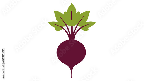 simple radish isolated on white vector illustration
