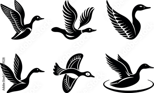 Soaring Silhouette: A series of elegant silhouettes of waterfowl in various stages of flight, perfect for illustrating movement and grace.