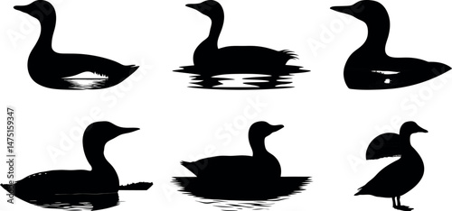 Loon Silhouette Series: A captivating collection of minimalist loon silhouettes, each depicting the elegant bird in various poses.
