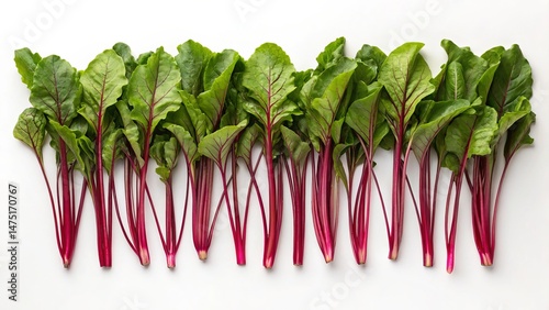 Crimson Beet Greens Flatlay...
