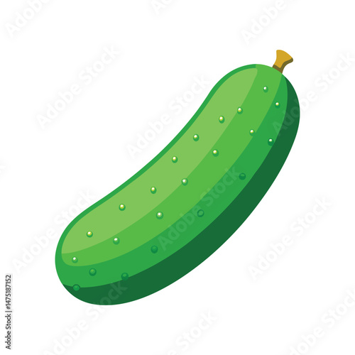 Illustration of Fresh Cucumber – Organic & Healthy