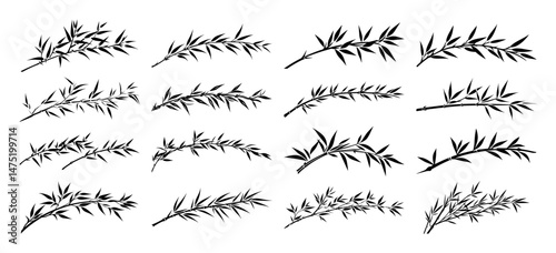 bamboo leaves set in minimal hand drawn outline vector style