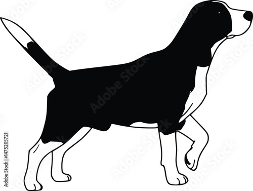 Alert Beagle Dog Silhouette A Black and White Illustration of a Beagle in a Standing Pose, Head Up
