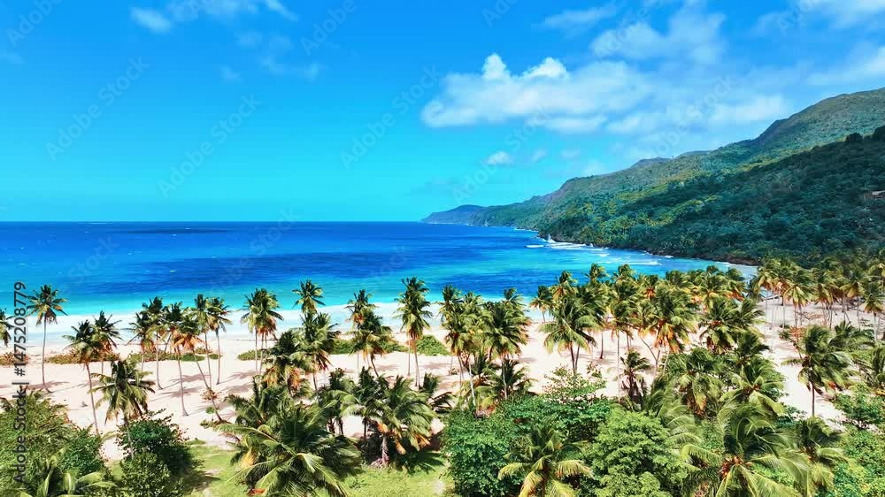 Vibrant coconut palms over the sea coast. Tropical idyllic paradise island. Dominican sandy beach on a sunny day. Crystal clear sea with turquoise waters. Palm tree leaning into the sea. Vibrant coconut palms over the sea coast. Tropical idyllic paradise island. Dominican sandy beach on a sunny day. Crystal clear sea with turquoise waters. Palm tree leaning into the sea.