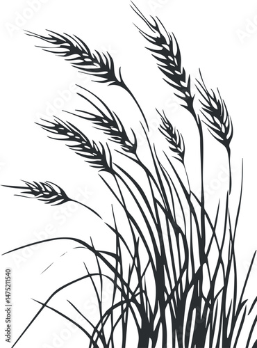 Black and white silhouette illustration of wheat stalks with ears and spikes on isolated background