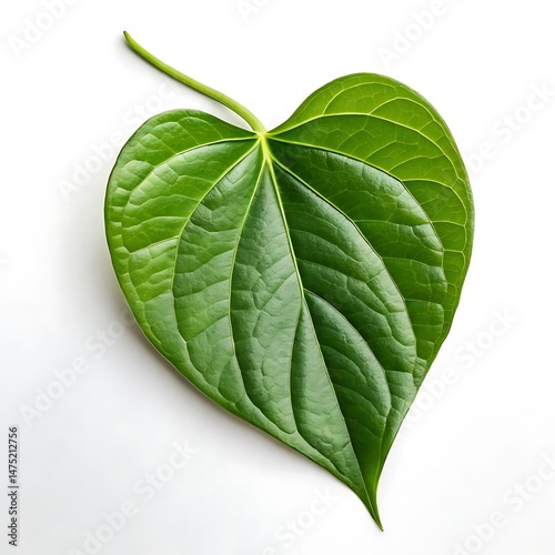 Heart-Shaped Betel Leaf: Images & Stock Photos