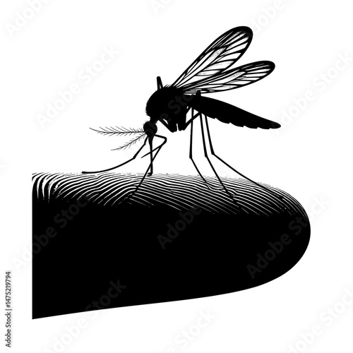 Mosquito biting human finger silhouette black and white