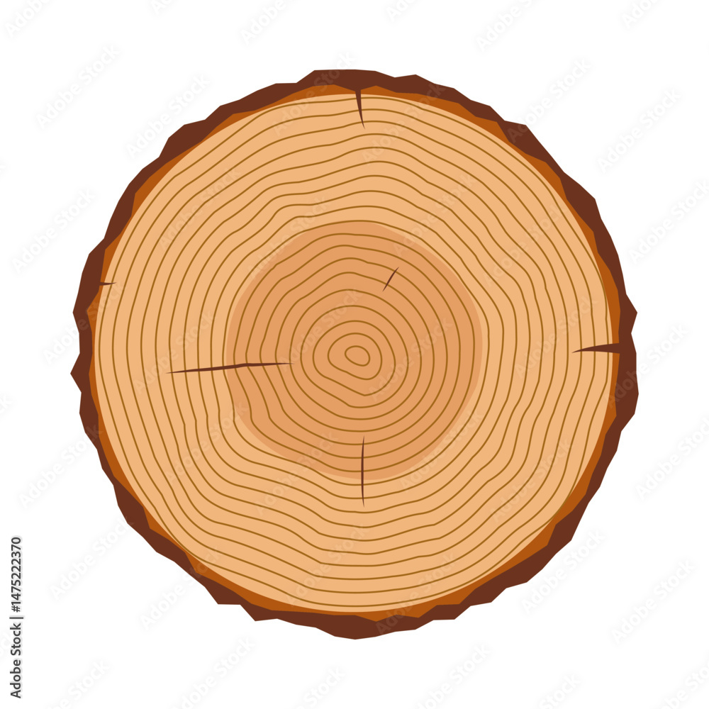 Tree Trunk Cross Section with Growth Rings Vector Illustration. A detailed cross section of a tree trunk, showcasing clearly visible annual growth rings that radiate outward from the center.