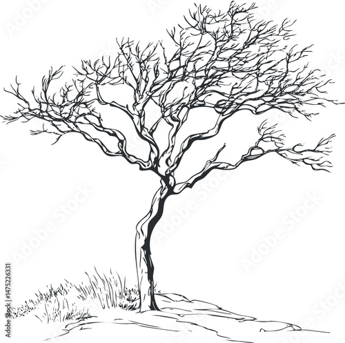 Black and white illustration of a leafless tree with bare branches and a twisted trunk on rocky ground