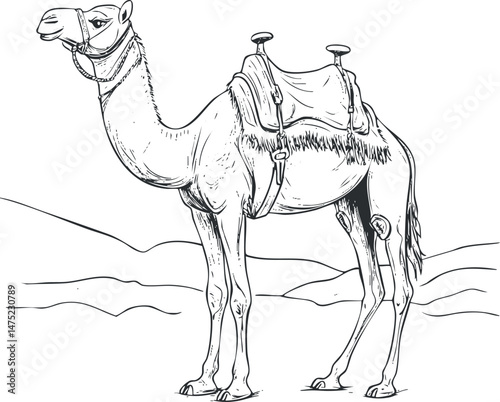 Black and white line illustration of a camel with a saddle standing in a desert landscape